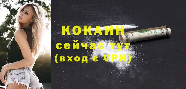 стаф Балахна